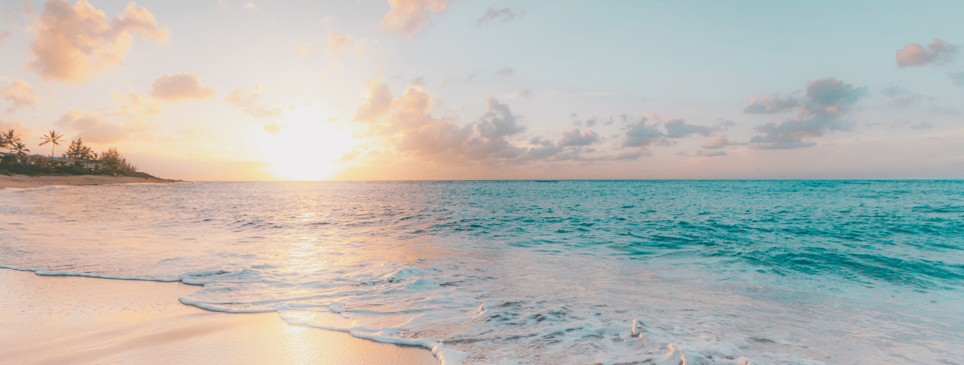 IGNITE: Life Coaching & Mentorship